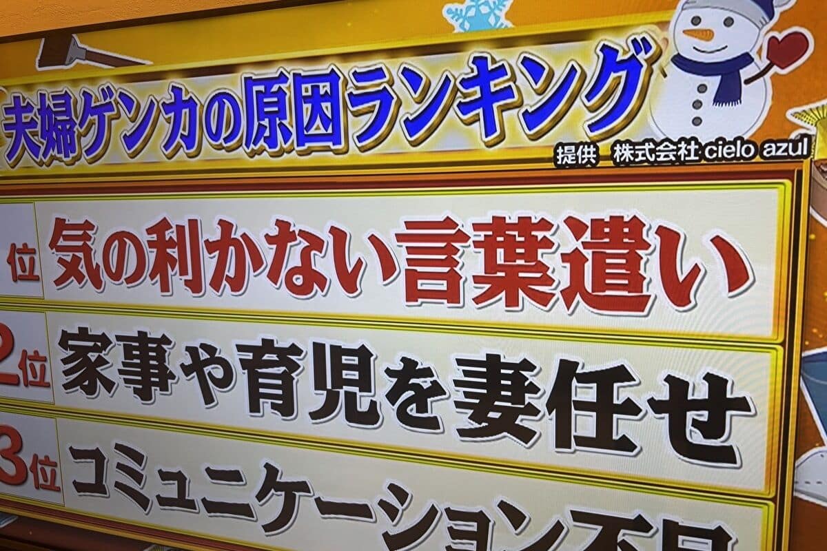 日本テレビ『世界一受けたい授業』（2023年12月16日放送）で紹介された夫婦喧嘩の原因ランキング（提供：株式会社cielo azul）